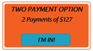 Two Payments Button